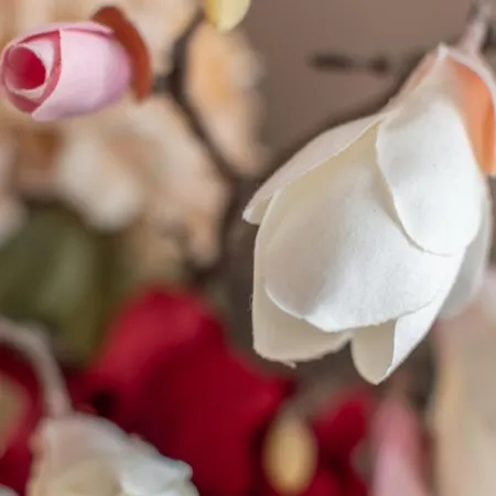 Pinzochere Апартаменты *