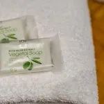 Lägenhet Pinzochere *