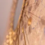 Pinzochere Lägenhet